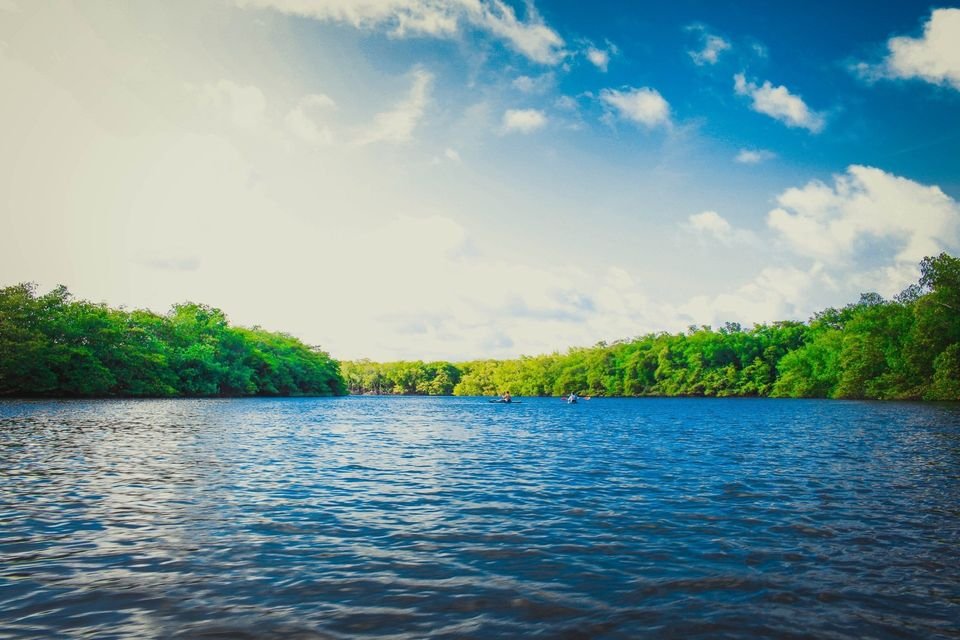 Lake with a tree-lined shore under a partly cloudy sky